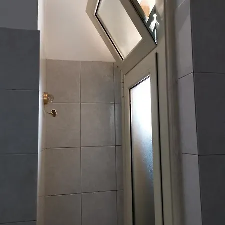 Aquarium Fish And Gastropods