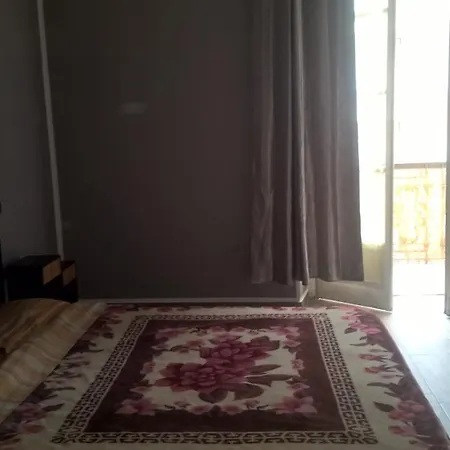 Aquarium Fish And Gastropods Τορίνο