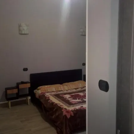 Aquarium Fish And Gastropods *