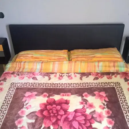 Casa de hóspedes Aquarium Fish And Gastropods *