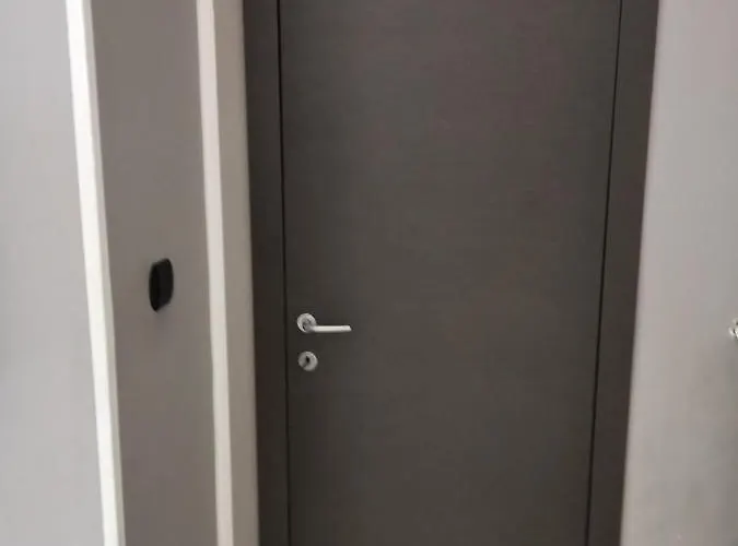 ゲストハウス Aquarium Fish And Gastropods