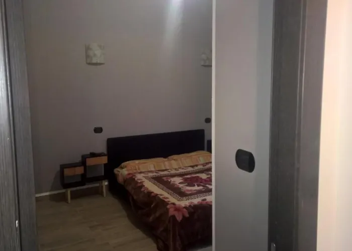 Aquarium Fish And Gastropods *