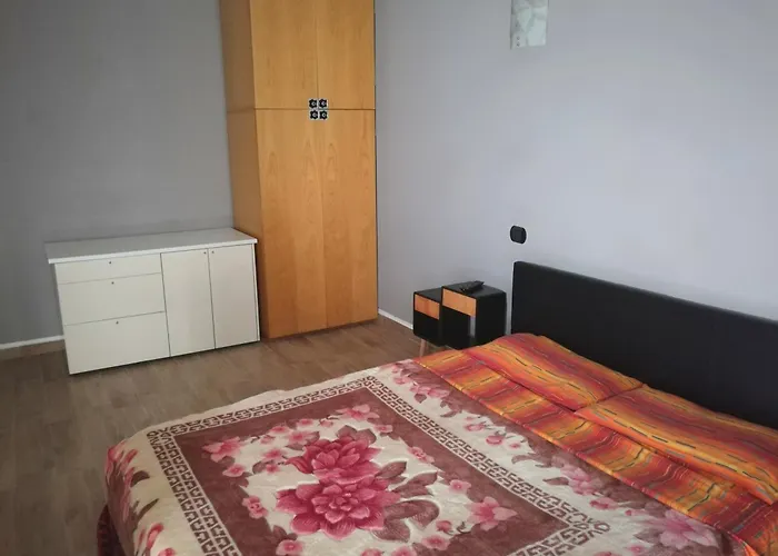 ゲストハウス Aquarium Fish And Gastropods