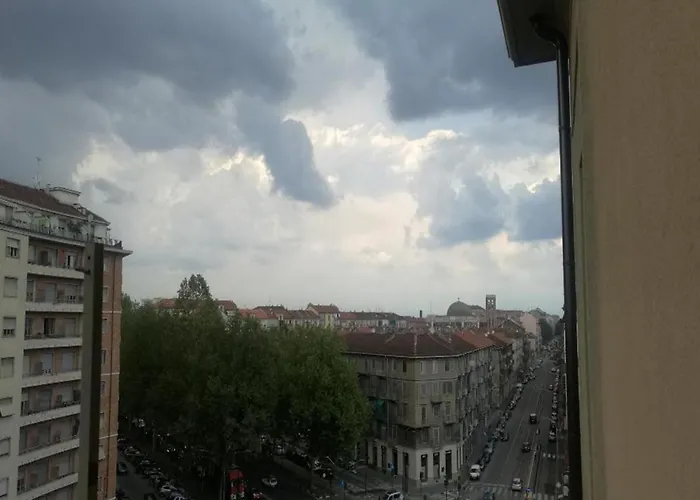 Aquarium Fish And Gastropods