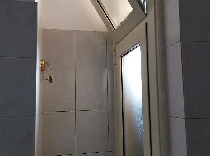 Aquarium Fish And Gastropods