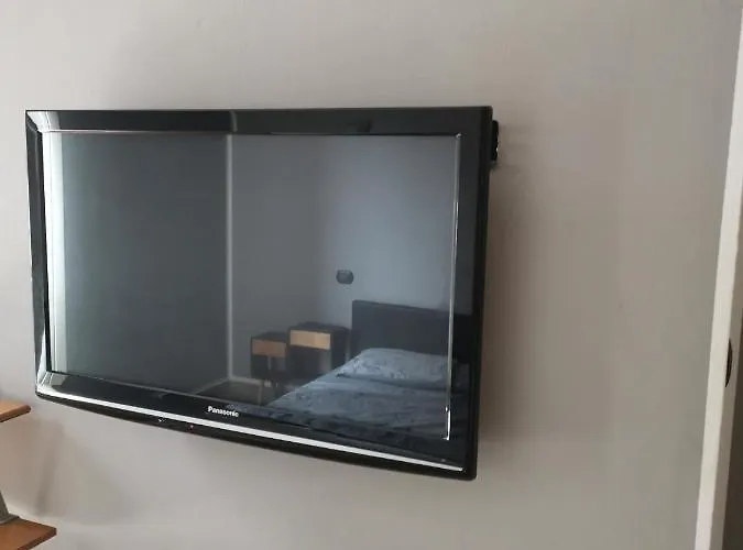 Aquarium Fish And Gastropods Pensjonat Turyn