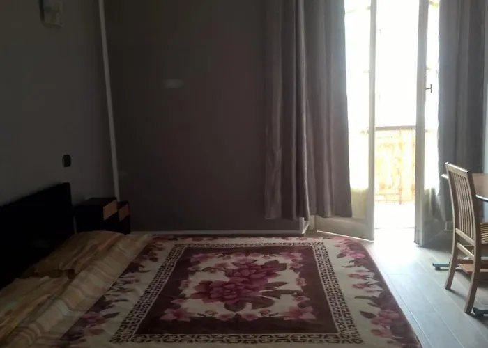 Aquarium Fish And Gastropods Turyn